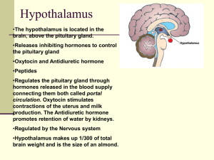 Functions it Regulates/Affects