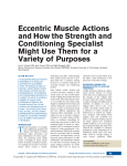 Eccentric Muscle Actions and How the Strength