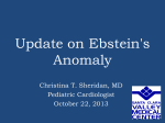 Update on Ebstein`s Anomaly