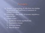 Tissues