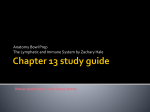 Chapter 1 study guide