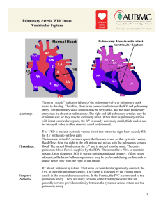 Pulmonary Atresia With Intact Ventricular Septum