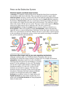 Notes on the Endocrine System