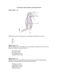 SYSTEMS IN ORGANISMS TAKS QUESTIONS SPRING 2003 – 10