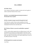 Q9) What are the features of cells in Meristematic tissues?