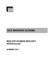 gce marking scheme