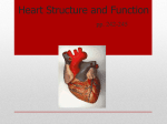 Unit K * Heart Structure and Function