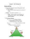 Chapter 5: The Working Cell