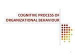 COGNITIVE PROCESS OF ORGANIZATIONAL BEHAVIOUR