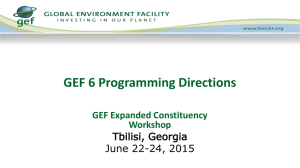 GEF 6 Programming Climate Change Mitigation