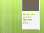 Labor, Birth and the Neonate2016