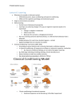 Lecture 6- Learning