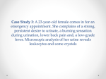 Case Study 3: A 23-year-old female comes in for an emergency