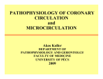 Microcirculation and coronary circulation 2011