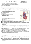 Types of Congenital Heart Defects