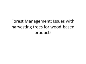 Forest Management