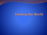 Feeding the World