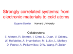 Strongly Correlated Systems