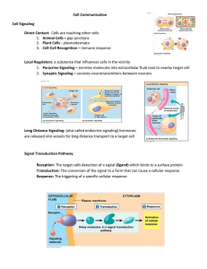 Cell Communication Cell Signaling Direct Contact: Cells are