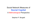 social network measures of social capital