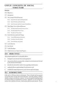 unit 25 concepts of social structure