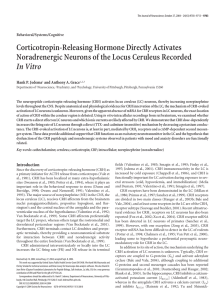 Corticotropin-Releasing Hormone Directly Activates Noradrenergic