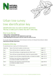 Urban tree survey: tree identification key