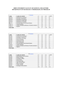 departmant of sociology undergraduate program