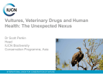 Vultures, Veterinary Drugs and Human Health: The Unexpected Nexus