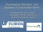 Disorders and Diseases of Ornamental Palms