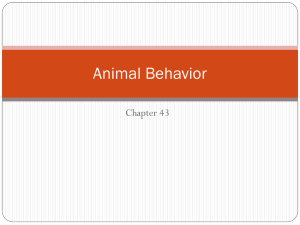 Animal Behavior - Carroll County Schools
