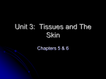 UNIT 3: CELLS AND TISSUES
