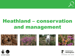 Heathland conservation and management