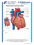 Normal Heart NOTES - Children`s Heart Clinic