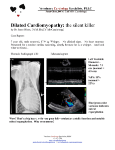Dilated Cardiomyopathy: the silent killer