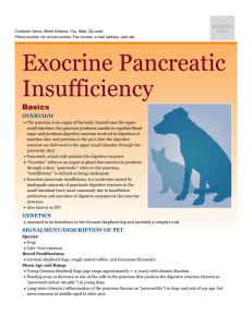 exocrine_pancreatic_insufficiency