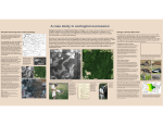 A case study in ecological succession