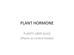 PLANT HORMONE