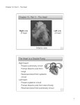 Chapter 12, Part 2 – The Heart The Heart is a Double Pump
