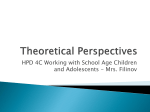 Theoretical Perspectives