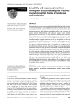 Sensitivity and response of northern hemisphere altitudinal and