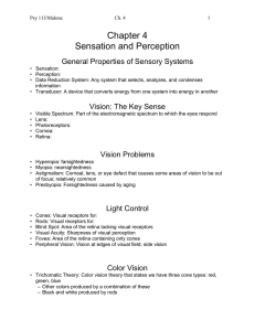 Chapter 4 Sensation and Perception