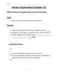 chapter-8-human-organization-student-notes