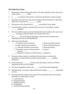 The Endocrine System