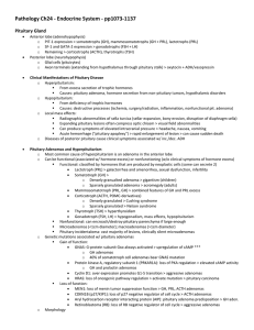 Pathology Ch24 - Endocrine System - pp1073-1137