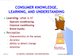 consumer learning