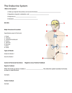 The Endocrine System (Chap 11)