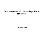 Ionchannels and channelopaties in the heart