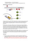 S3.Cell Signaling-Signaling and gene expression