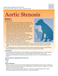 aortic_stenosis